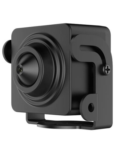 Hikvision DS-2CD2D21G0-D/NF F3.7 (juoda, 2 MP, WDR)